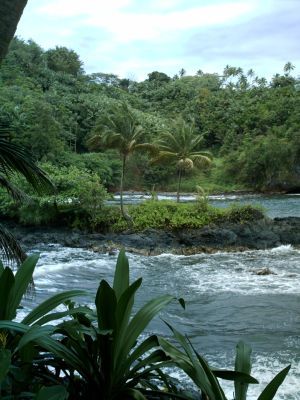 Photo of Mari'im