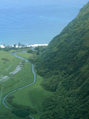Photo of Mari'im