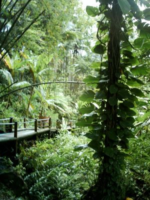 Photo of Mari'im